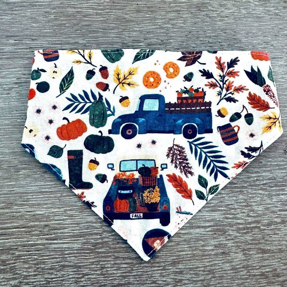 Fall Dog Farmhouse Truck Pumpkin Bandana Neck Collar M